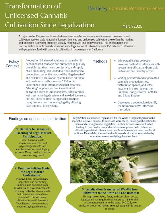 Transformation of Unlicensed Cannabis Cultivation Since Legalization
