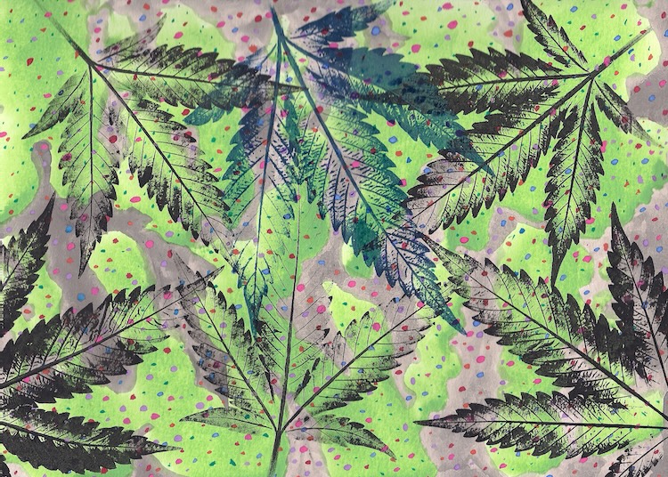 A watercolor painting with imprints of cannabis leaves over green and purple patches.